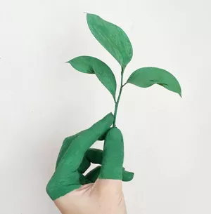 Go Green Today